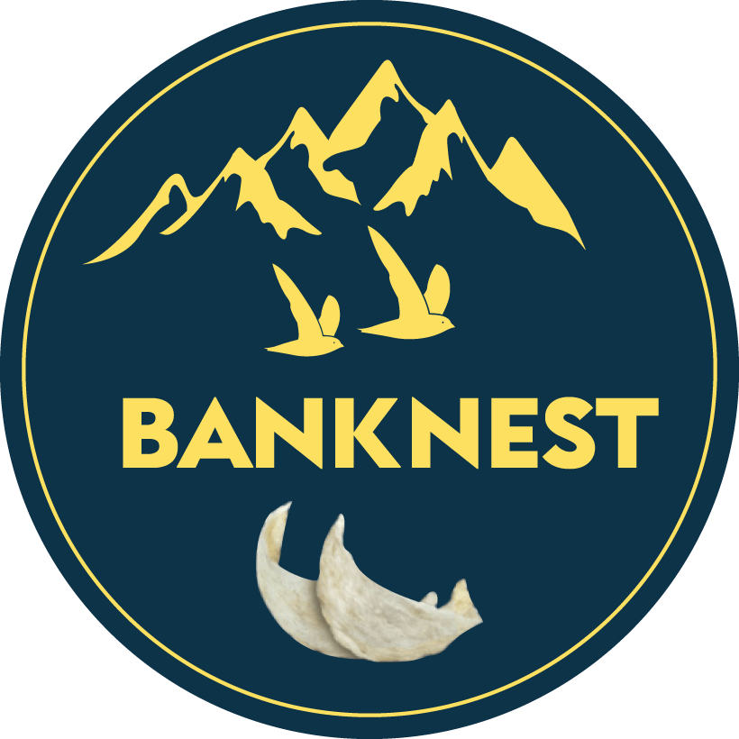 BANK NEST
