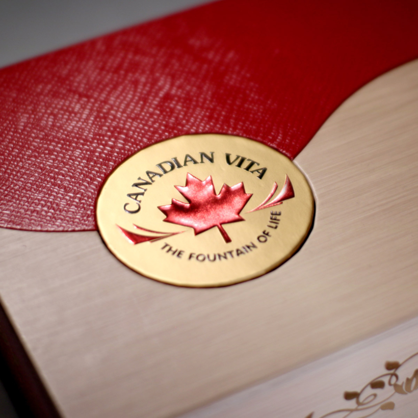 mochanstore.com Nhan Sam Cu Kho Canadian Vita 100g – Ginseng Roots kem tui